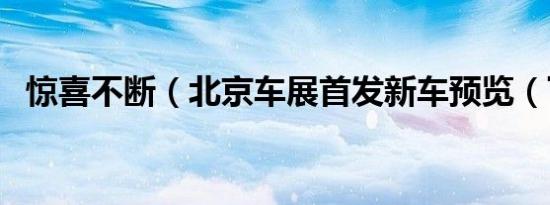 惊喜不断（北京车展首发新车预览（下））