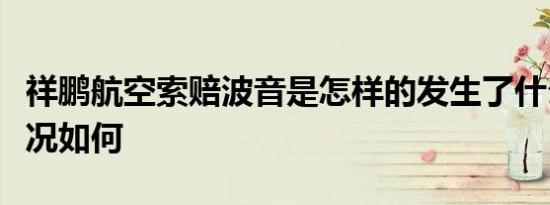 祥鹏航空索赔波音是怎样的发生了什么目前情况如何