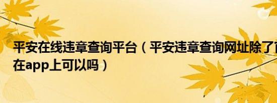 平安在线违章查询平台（平安违章查询网址除了官网请问下在app上可以吗）