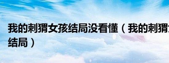 我的刺猬女孩结局没看懂（我的刺猬女孩什么结局）