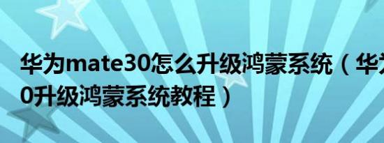 华为mate30怎么升级鸿蒙系统（华为mate30升级鸿蒙系统教程）