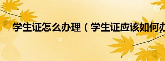 学生证怎么办理（学生证应该如何办理）