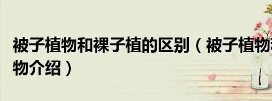 被子植物和裸子植的区别（被子植物和裸子植物介绍）