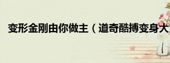 变形金刚由你做主（道奇酷搏变身大黄蜂）