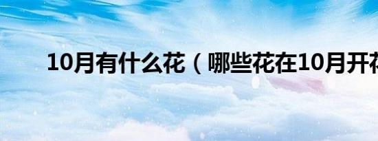 10月有什么花（哪些花在10月开花）