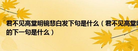 君不见高堂明镜悲白发下句是什么（君不见高堂明镜悲白发的下一句是什么）