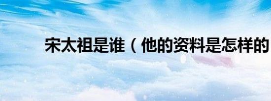 宋太祖是谁（他的资料是怎样的）