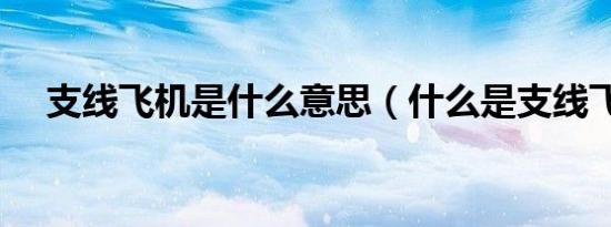 支线飞机是什么意思（什么是支线飞机）