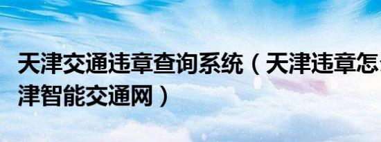 天津交通违章查询系统（天津违章怎么查询天津智能交通网）