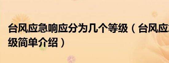 台风应急响应分为几个等级（台风应急响应等级简单介绍）