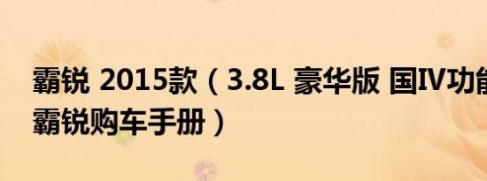 霸锐 2015款（3.8L 豪华版 国Ⅳ功能怎么样 霸锐购车手册）