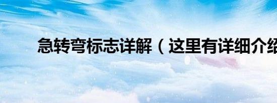 急转弯标志详解（这里有详细介绍）