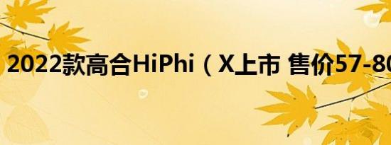 2022款高合HiPhi（X上市 售价57-80万元）
