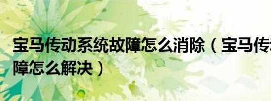 宝马传动系统故障怎么消除（宝马传动系统故障怎么解决）