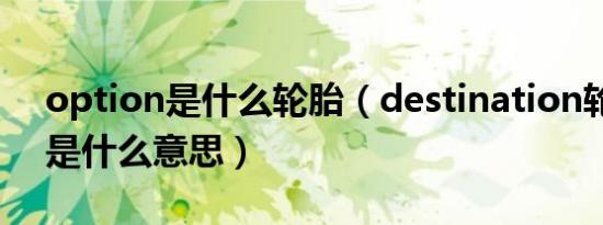 option是什么轮胎（destination轮胎品牌是什么意思）