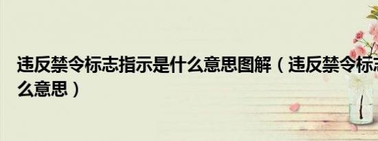 违反禁令标志指示是什么意思图解（违反禁令标志指示是什么意思）