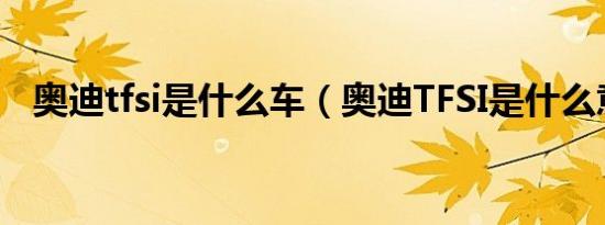 奥迪tfsi是什么车（奥迪TFSI是什么意思）
