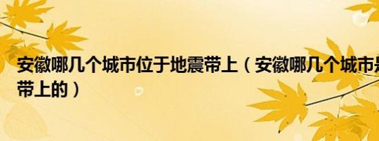 安徽哪几个城市位于地震带上（安徽哪几个城市是位于地震带上的）