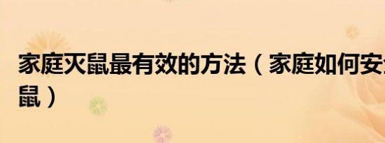 家庭灭鼠最有效的方法（家庭如何安全有效灭鼠）