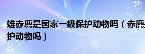 雄赤麂是国家一级保护动物吗（赤麂是国家保护动物吗）