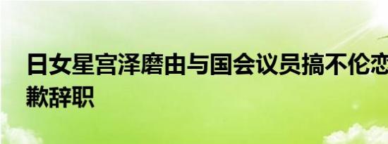 日女星宫泽磨由与国会议员搞不伦恋 男方致歉辞职