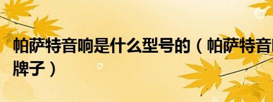 帕萨特音响是什么型号的（帕萨特音响是什么牌子）