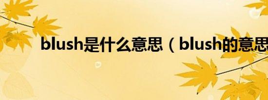 blush是什么意思（blush的意思）
