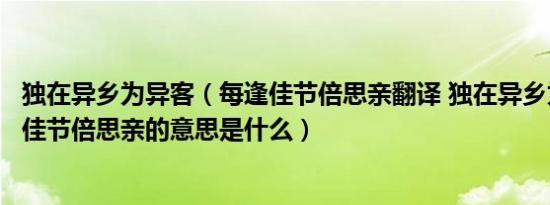 独在异乡为异客（每逢佳节倍思亲翻译 独在异乡为异客每逢佳节倍思亲的意思是什么）
