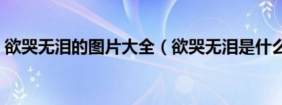 欲哭无泪的图片大全（欲哭无泪是什么意思）