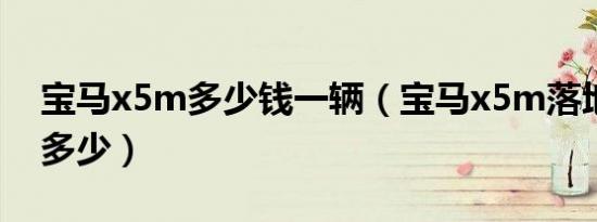 宝马x5m多少钱一辆（宝马x5m落地价大概多少）