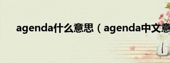 agenda什么意思（agenda中文意思）
