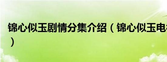 锦心似玉剧情分集介绍（锦心似玉电视剧简介）
