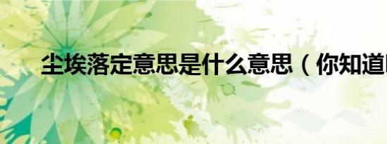 尘埃落定意思是什么意思（你知道吗）