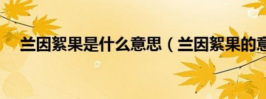 兰因絮果是什么意思（兰因絮果的意思）