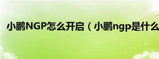小鹏NGP怎么开启（小鹏ngp是什么意思）