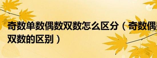 奇数单数偶数双数怎么区分（奇数偶数和单数双数的区别）
