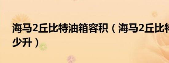 海马2丘比特油箱容积（海马2丘比特油箱多少升）