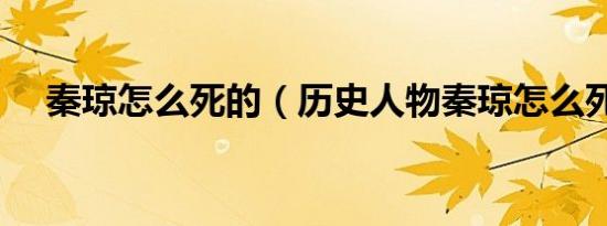 秦琼怎么死的（历史人物秦琼怎么死的）