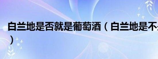 白兰地是否就是葡萄酒（白兰地是不是葡萄酒）