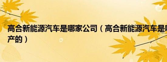 高合新能源汽车是哪家公司（高合新能源汽车是哪家公司生产的）
