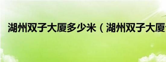 湖州双子大厦多少米（湖州双子大厦介绍）