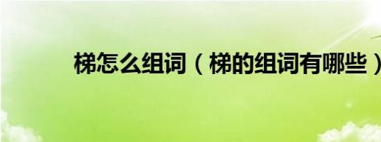梯怎么组词（梯的组词有哪些）