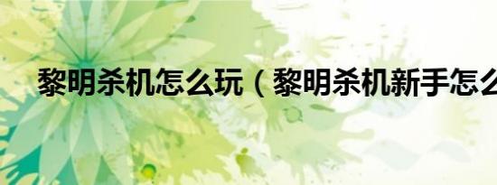 黎明杀机怎么玩（黎明杀机新手怎么玩）