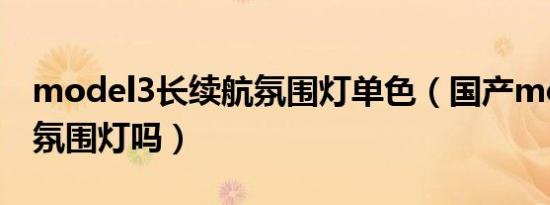 model3长续航氛围灯单色（国产model3有氛围灯吗）