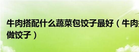 牛肉搭配什么蔬菜包饺子最好（牛肉搭配蔬菜做饺子）