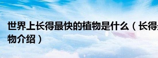 世界上长得最快的植物是什么（长得最快的植物介绍）