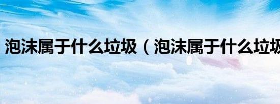 泡沫属于什么垃圾（泡沫属于什么垃圾分类）