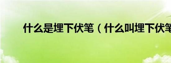 什么是埋下伏笔（什么叫埋下伏笔）