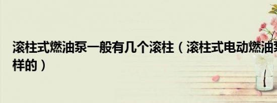 滚柱式燃油泵一般有几个滚柱（滚柱式电动燃油泵结构是怎样的）