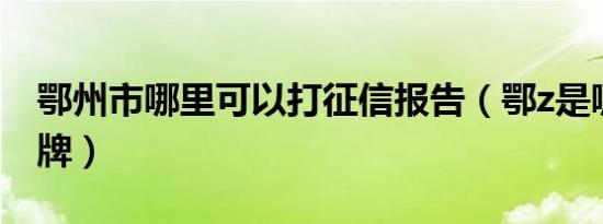 鄂州市哪里可以打征信报告（鄂z是哪里的车牌）